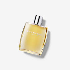 Burberry - Delux